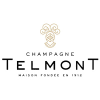 上海回收玳慕香槟TELMONT-品牌介绍